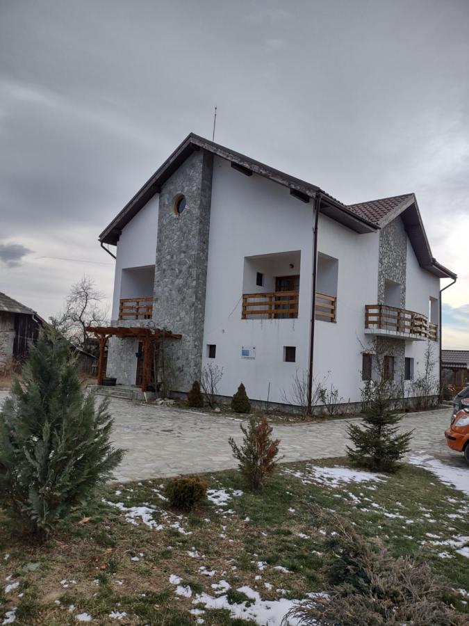 Pensiunea Codruta Cărpinişu Exteriér fotografie