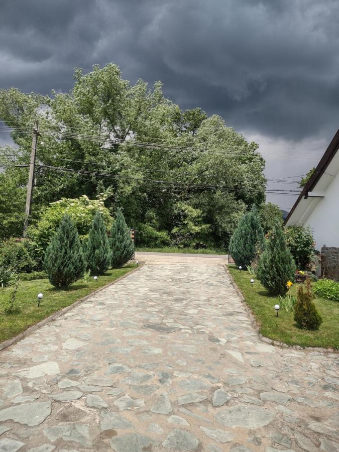 Pensiunea Codruta Cărpinişu Exteriér fotografie