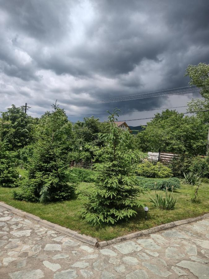 Pensiunea Codruta Cărpinişu Exteriér fotografie