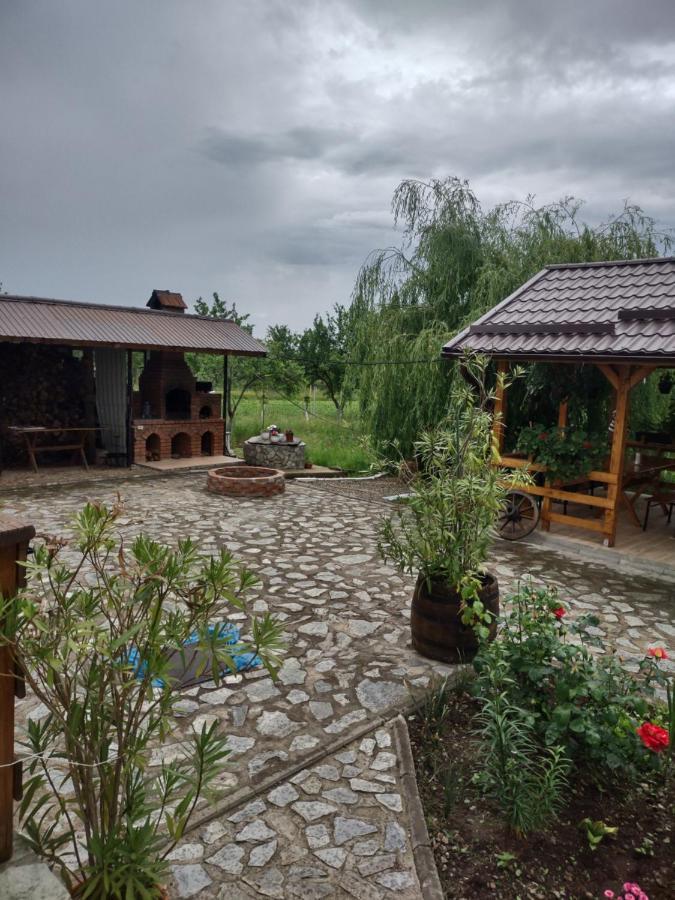 Pensiunea Codruta Cărpinişu Exteriér fotografie