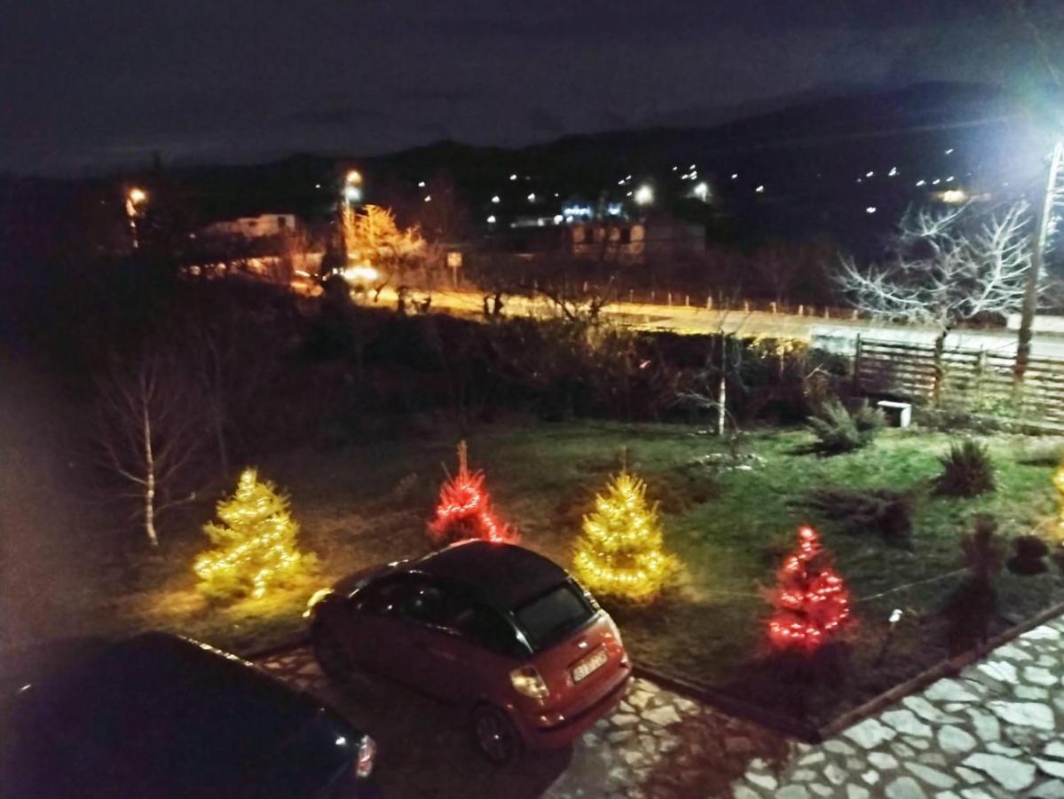 Pensiunea Codruta Cărpinişu Exteriér fotografie
