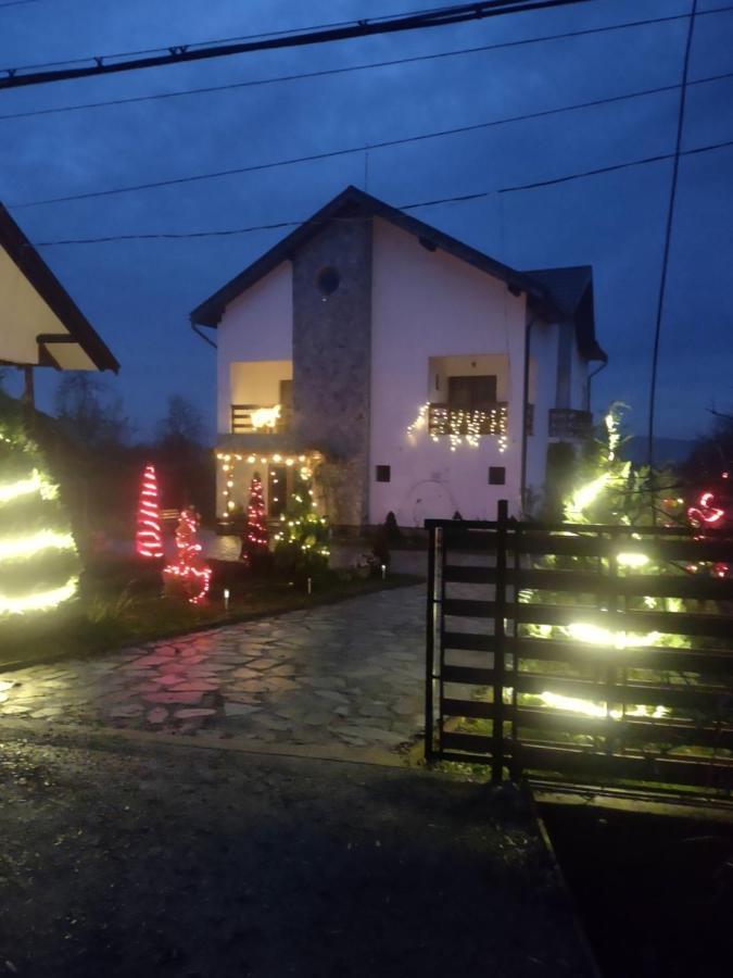 Pensiunea Codruta Cărpinişu Exteriér fotografie