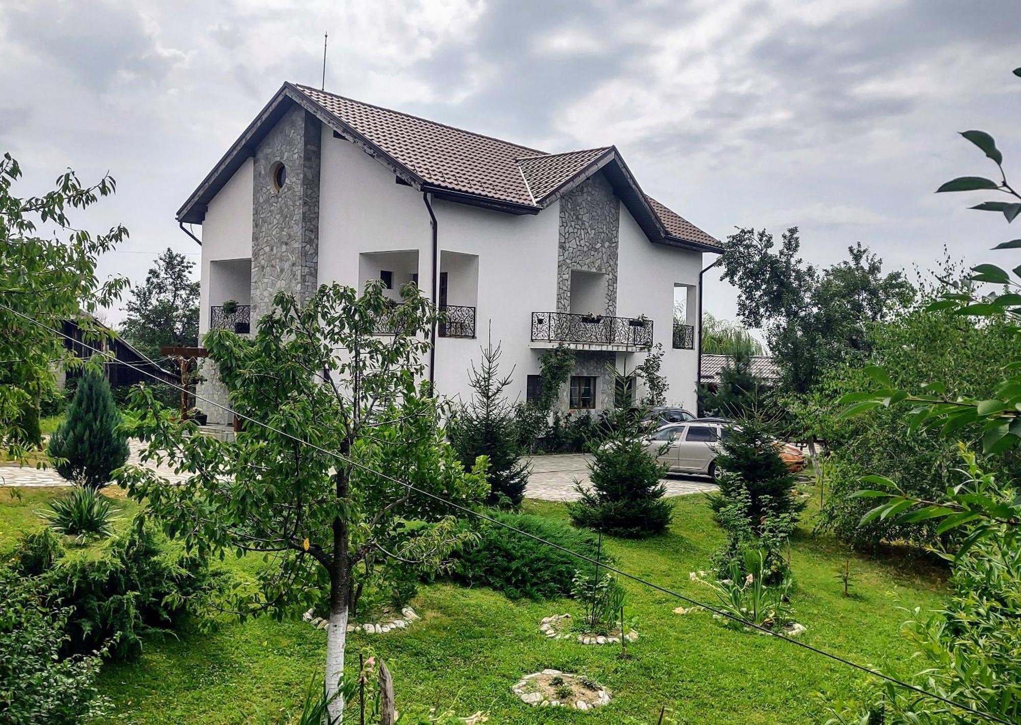 Pensiunea Codruta Cărpinişu Exteriér fotografie