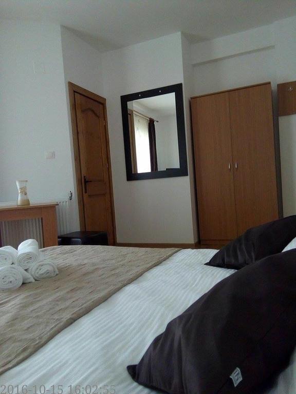 Pensiunea Codruta Cărpinişu Exteriér fotografie