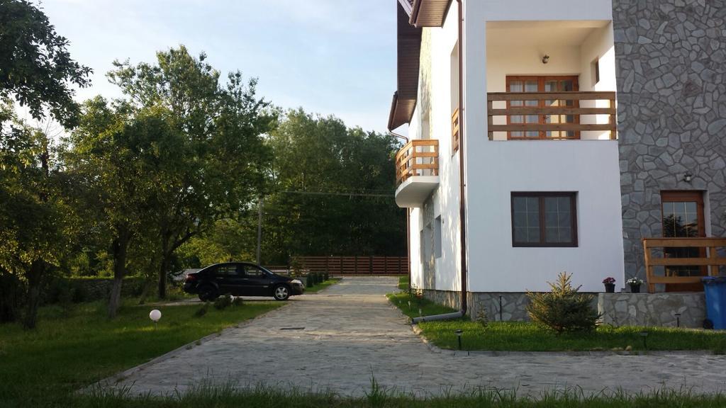 Pensiunea Codruta Cărpinişu Exteriér fotografie