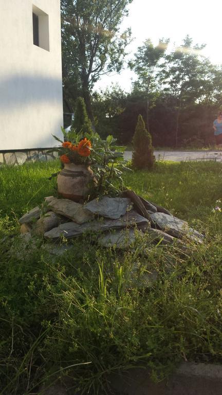 Pensiunea Codruta Cărpinişu Exteriér fotografie