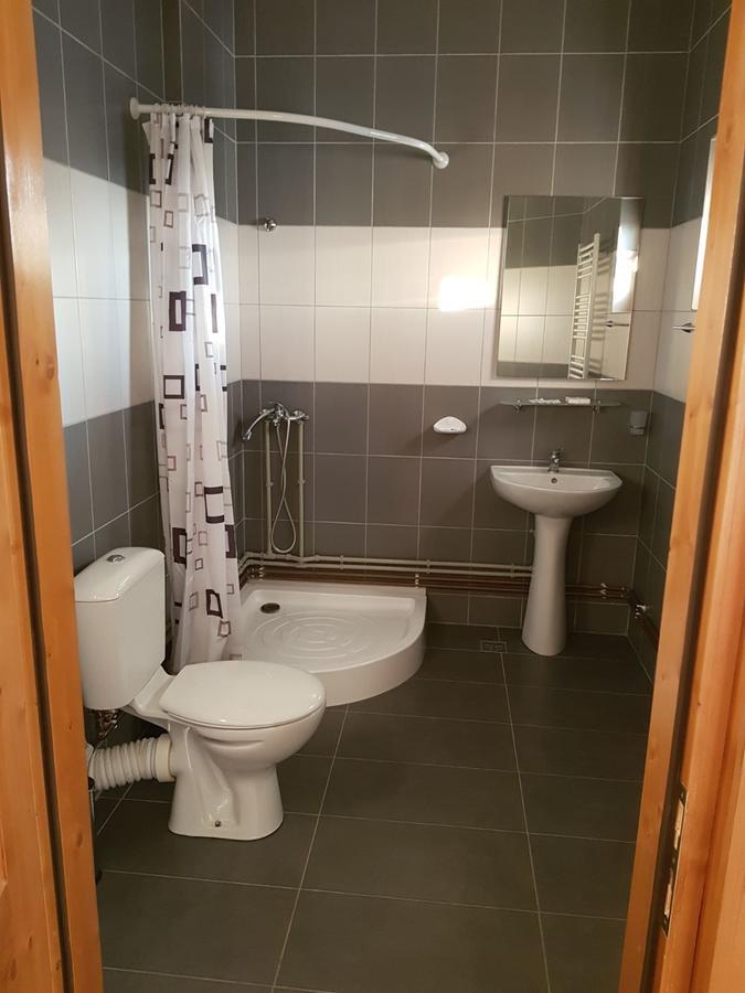 Pensiunea Codruta Cărpinişu Exteriér fotografie