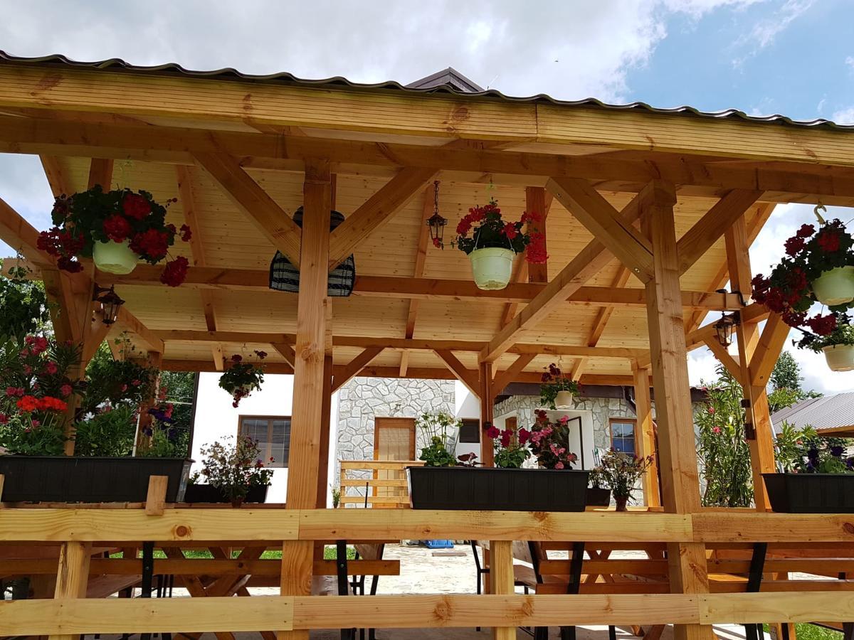 Pensiunea Codruta Cărpinişu Exteriér fotografie
